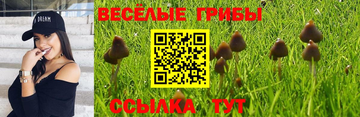 Псилоцибиновые грибы GOLDEN TEACHER  Вход с VPN  Ликино-Дулёво 